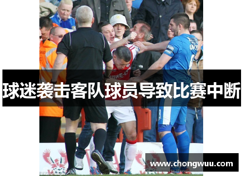 球迷袭击客队球员导致比赛中断 球迷袭击客队球员导致比赛中断